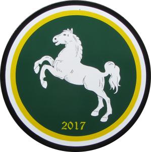 Veteranenkönigsscheibe 2017